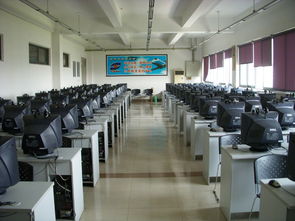 06級測控技術(shù)與儀器專業(yè)學(xué)雷鋒活動總結(jié)